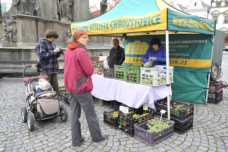 Úterní oslavy Dne Země na chrudimském Resselově náměstí.