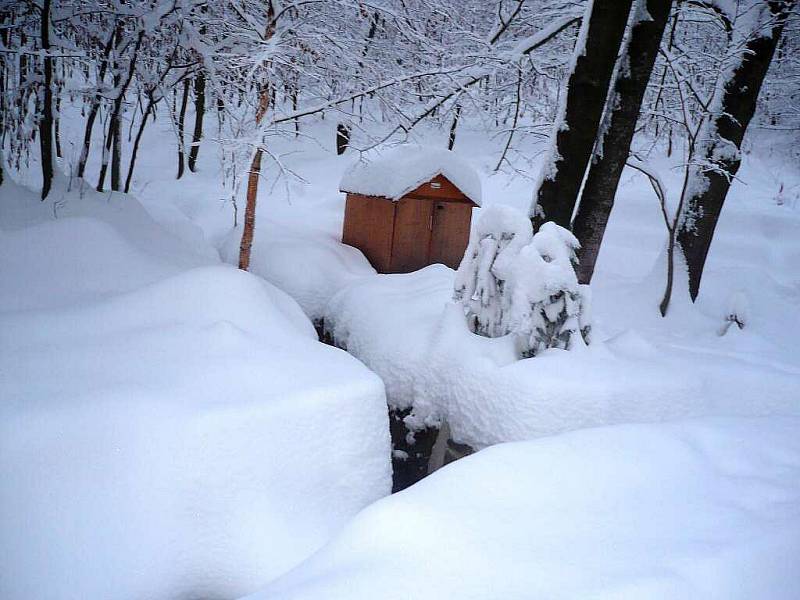 Zimní příroda v okolí Chrudimi.