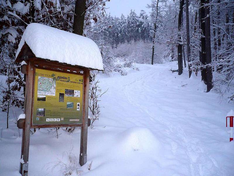 Zimní příroda v okolí Chrudimi.