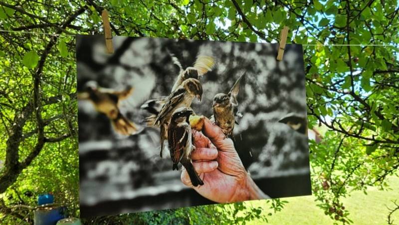 Výstava obrazů a fotografií v Moravanech u Ronova nad Doubravou.