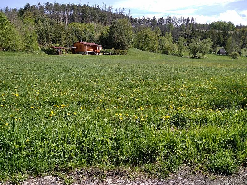 Holonkův Mlýn aneb kam na cyklovýlet s menšími dětmi v okolí Velkého Meziříčí.