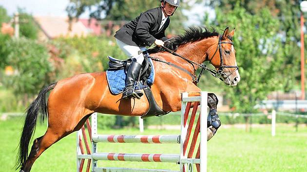 V SOBOTU 18. září se konaly ve Vestci Podzimní jezdecké závody. Na start celkem tří závodů nastoupilo 60 koní a jezdců. 