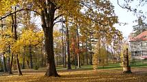 Park a arboretum u Hamzovy léčebny pro děti a dospělé v Luži-Košumberku.