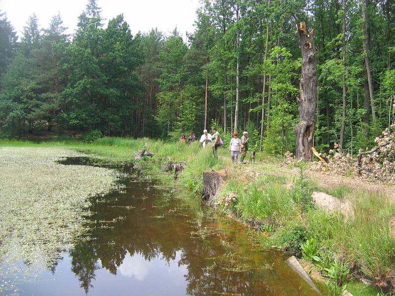 Ekologická procházka v přírodě v okolí Bítovan.