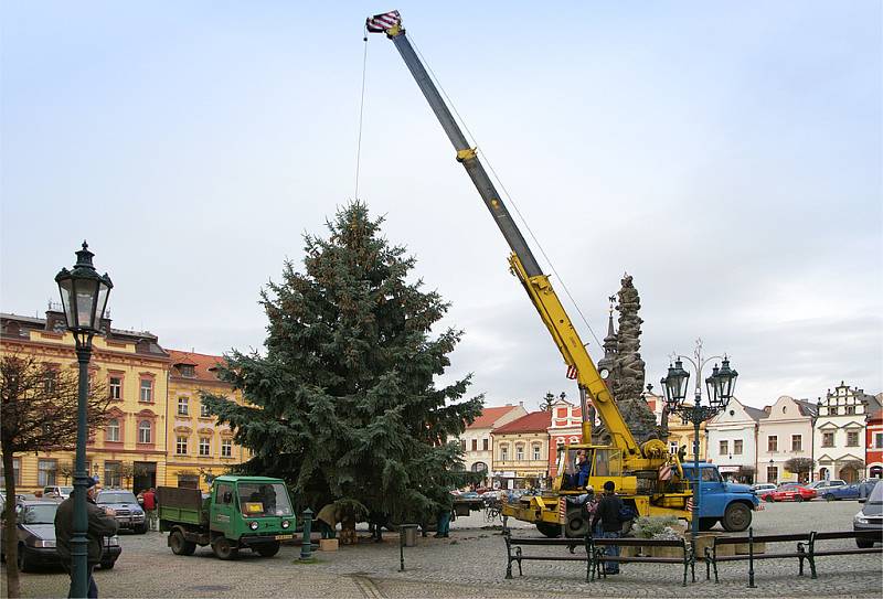 Resselovo náměsí už zdobí nový vánoční smrk