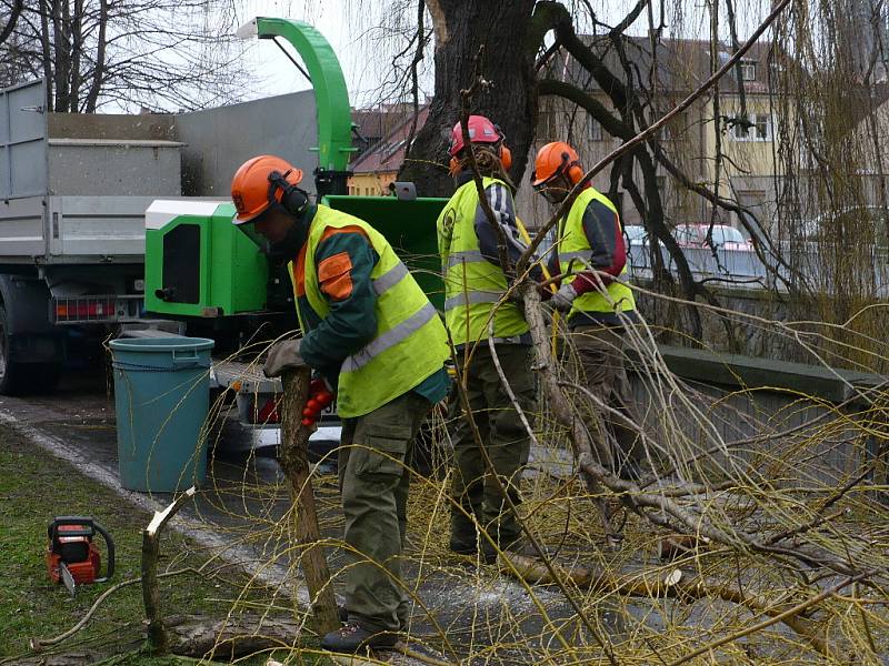 Prořezávka stromů na nábřeží Chrudimky už byla nutná kvůli bezpečnosti chodců.