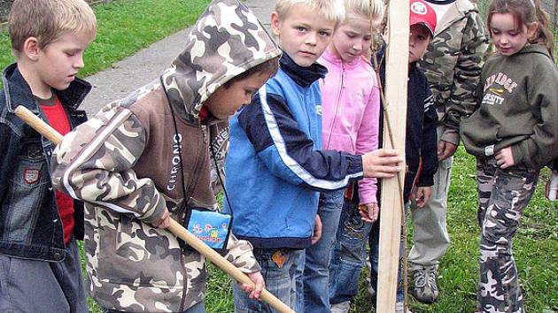 Školáci z Hrochova Týnce se zapojili do projektu "Miliarda stromů pro planetu Zemi" .