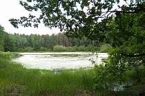 Nádherná zelená zákoutí najdeme například v okolí městysu Žumberk. Na snímku lesní rybník Malá Straka. Foto: Deník/Marek Nečina