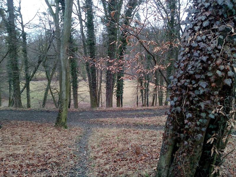 Zámecký park v Heřmanově Městci je osm měsíců poté, co se jím prohnala záplavová vlna, stále zavřený.