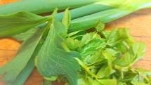 Zelená cibulka, trošku libečku, mladá svěží bršlice. Do salátu patří hodně natí, i ta celerová nebo petrželová mu dodají správnou chuť.