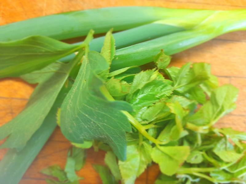 Zelená cibulka, trošku libečku, mladá svěží bršlice. Do salátu patří hodně natí, i ta celerová nebo petrželová mu dodají správnou chuť.