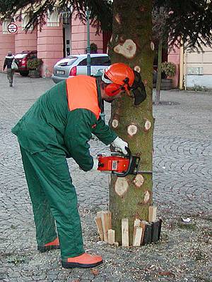 Vánoční jedle z Resselova náměstí ukončila svou pouť.