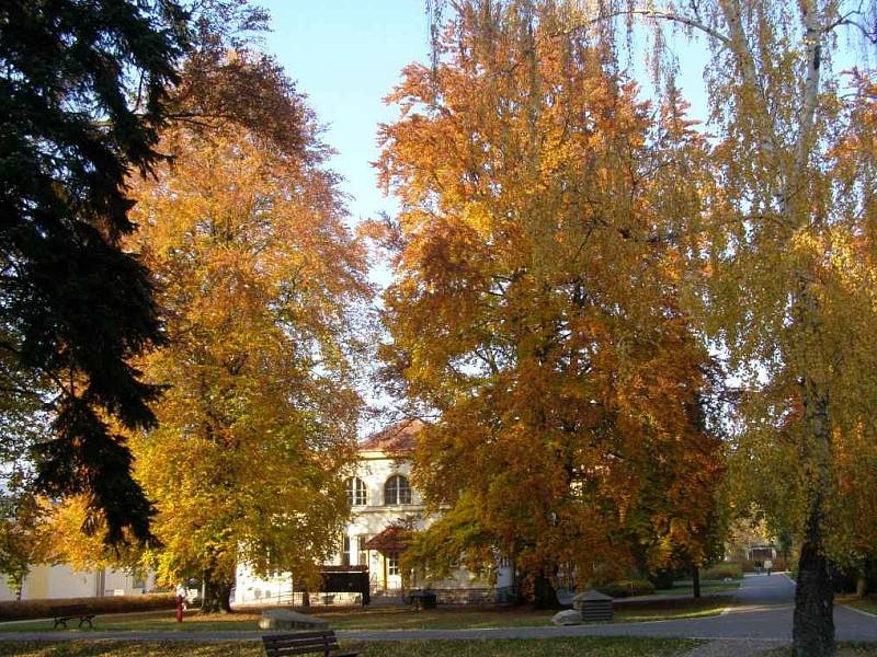 Park a arboretum u Hamzovy léčebny pro děti a dospělé v Luži-Košumberku.