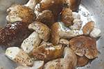 Hřiby líného houbaře: Šlehačka a hořčice jim dají správný říz