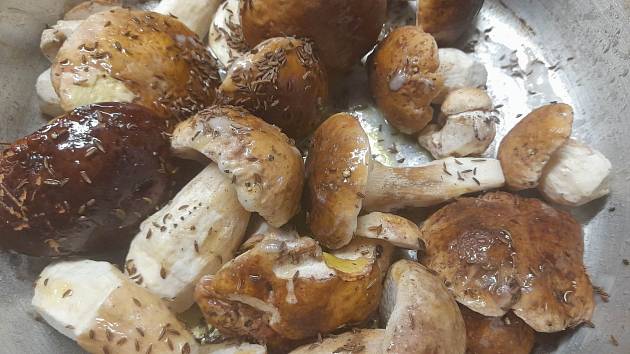 Hřiby líného houbaře: Šlehačka a hořčice jim dají správný říz