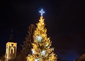 Vítězem letošní ankety se stal vánoční strom z Proseče