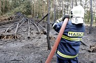 Neskutečný nárůst požárů porostu evidují hasiči za letošní březen. Hasiči, ať už profesionální nebo dobrovolní, vyjíždějí v průměru každý den ke čtyřem požárům trávy či lesního porostu.