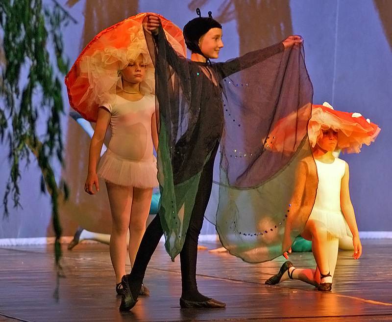 Baletní představení Král Lávra v Divadle Karla Pippicha v rámci festivalu Athény Východních Čech 2009.