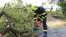 Rosice a Synčany. Polámané stromy, zničené střechy. "Uzavřena je aktuálně cesta Rosice Synčany kolem hřiště, Synčany - rybník a cyklostezka Rosice - Chrast. Prosím, dávejte pozor, nechoďte " na o hlídku" vesnice. Všude hrozí pády stromů a větví, střešní k