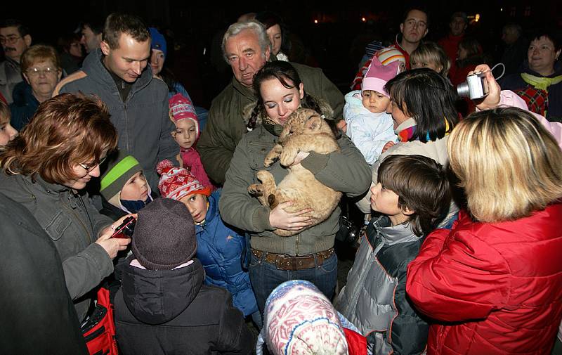 V Heřmanově Městci rozsvítili vánoční strom.