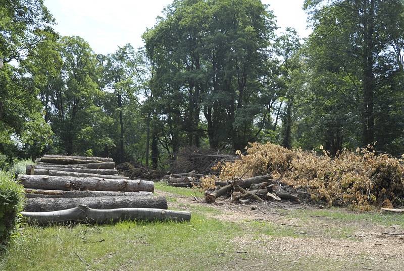 Betonová obluda nepřežila, avšak zámek stále vítá návštěvníky.