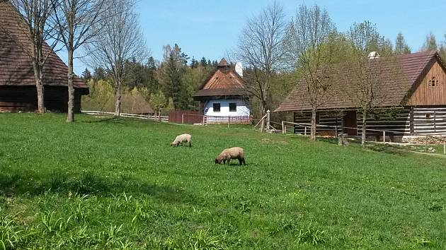 Veselý Kopec zahajuje sezonu.