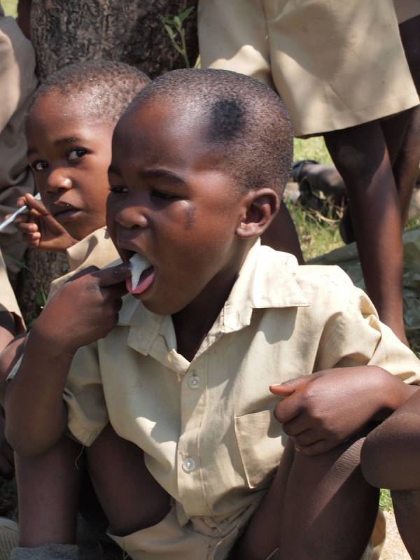 Uvnitř komunity v Lushumbe v africkém Zimbabwe žije 159 dětí, kterým nemoc AIDS vzala rodiče. Přesto děti nezůstaly úplně samy.
