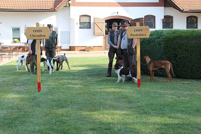 V sobotu se konal turnaj mysliveckých psů o Putovní pohár hejtmana Pardubického kraje v penzionu Kolesa vedle Kladrub na Pardubicku.