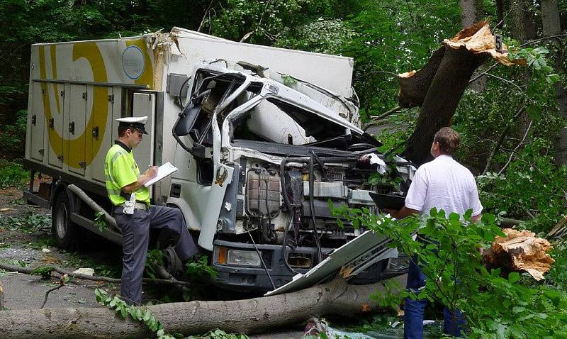 Řidiči chladícího vozu Iveco spadla na silnici ve směru od Hradiště do Nasavrk na auto spadla těžká buková větev. Nehodu nepřežil.