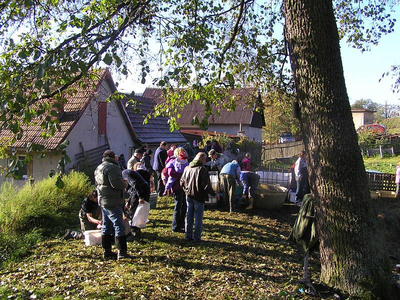 Výlov rybníka Travná u Horního Bradla.