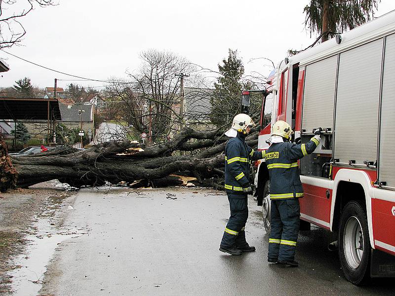 Hasiči odklízeli spadlý památný strom v Sobětuchách.