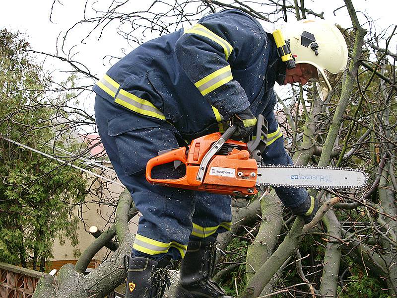 Hasiči odklízeli spadlý památný strom v Sobětuchách.