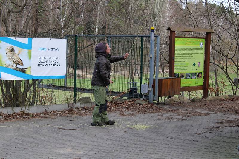 Příprava na novou sezónu v Záchranné stanici Pasíčka