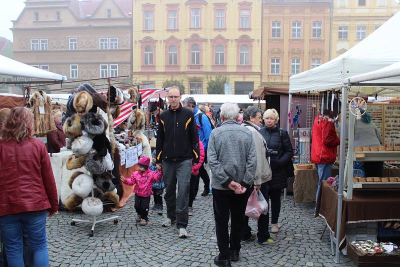 Rybí jarmark v Chrudimi