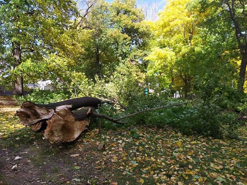 Městský park v Chrudimi je uzavřen. Vítr tady zničil několik stromů.