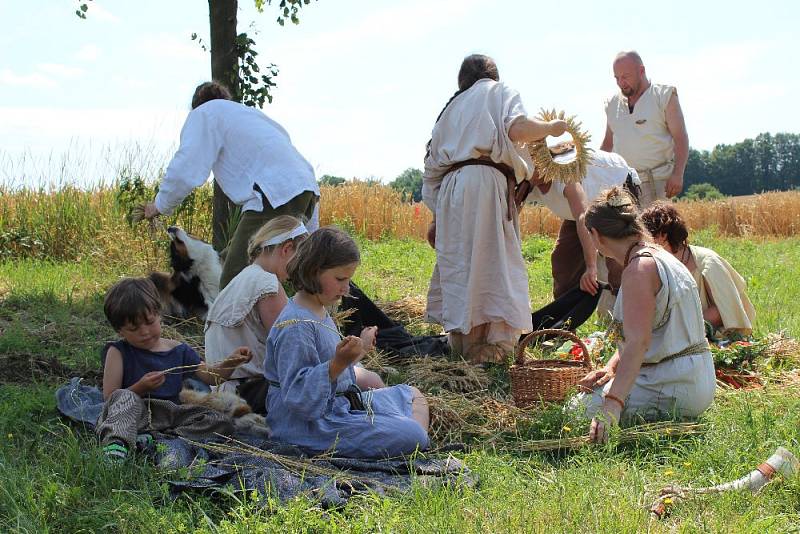 Ke dvěma stovkám lidí přišlo v sobotu pomoci se žněmi do Archeoskanzenu v Nasavrkách.