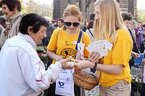 Do sbírky na podporu boje proti rakovině se zapojily stovky dobrovolníků. 