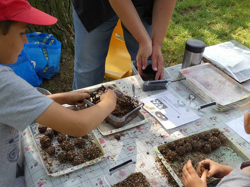 Ukázková zahrada v Mateřské škole Rosice. Učitelky připravily program pro malé i velké návštěvníky. Foto: Bára Beneschová