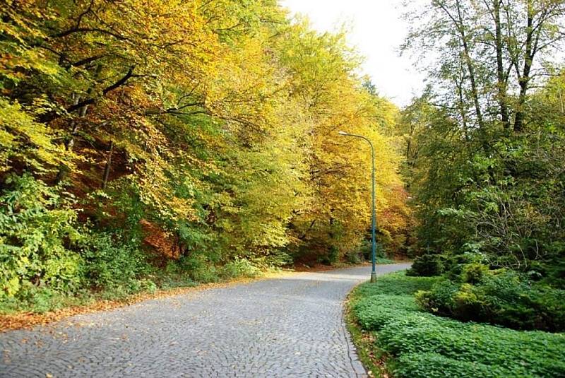 Třemošnické sdružení Čtyřlístek se pustilo do tradičního podzimního úklidu Hedvičina údolí.