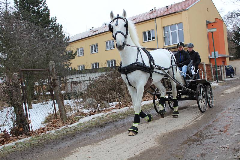 Zimní Jezdecký pohár ČJF ve Slatiňanech