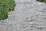 Déšť rozvodnil ve středu 2. června 2010 řeku Krounku v Krouně a okolí.