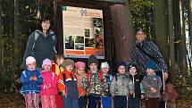 Hurá do lesa! Na mnoha místech na Chrudimsku už Městské lesy zrušili zákaz vstupu do lesů.