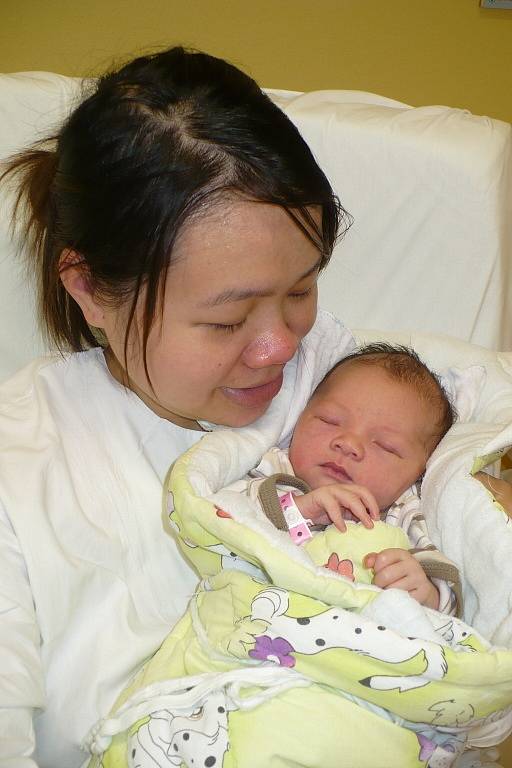 PHUNG PHUNG (3,2 kg a 48 cm) udělala radost svým narozením 24.10. v 8:03 rodičům Chu Thanh Thuy a Phung Quoc Diep z Chrudimi.