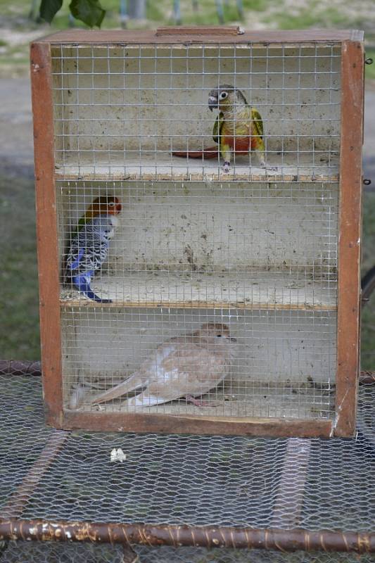 Dětský den ve Vlčí Habřině.