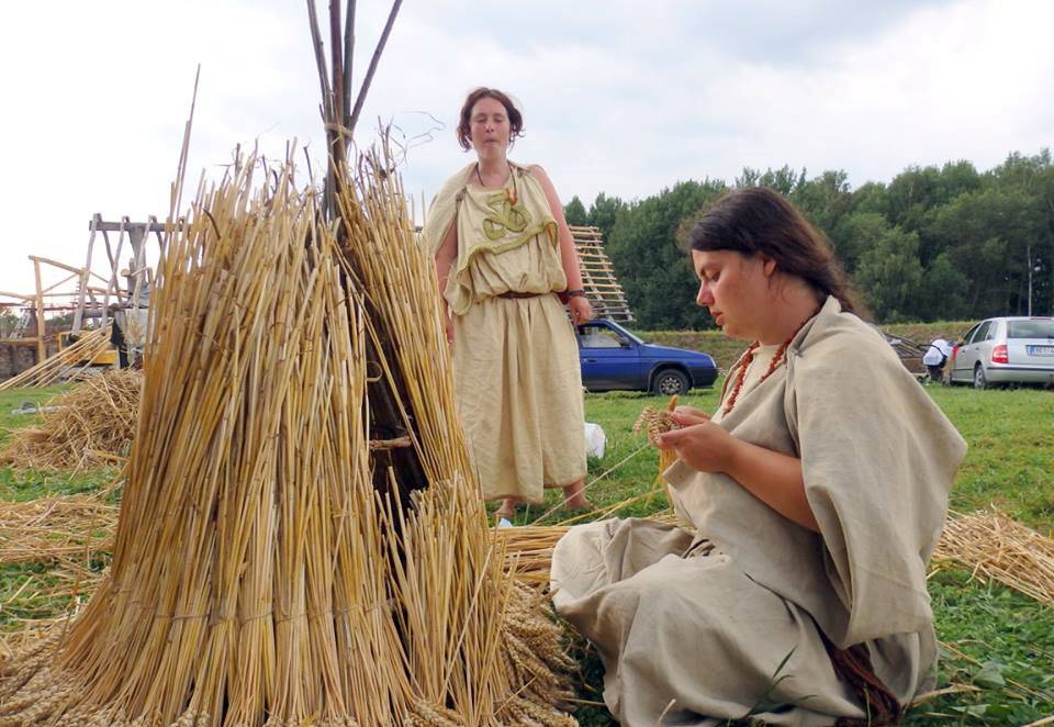 Žně: Keltové z Nasavrk sklidili úrodu obilí - Chrudimský deník