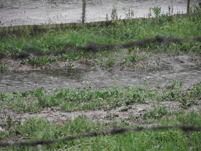 Jímka pod Nasavrckou skládkou během nedělních záplav přetekla, voda z ní pronikla až do Libáňského potoka