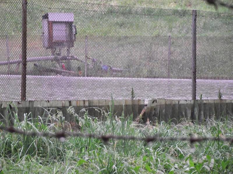 Jímka pod Nasavrckou skládkou během nedělních záplav přetekla, voda z ní pronikla až do Libáňského potoka