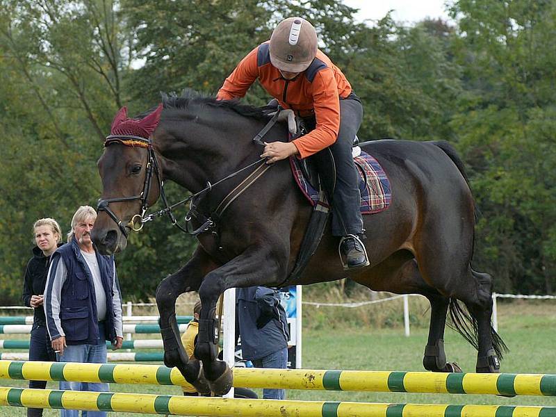 Na Školním statku ve Vestci se konal další ročník turnaje v parkurovém skákání Prostata Cup.