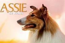  Lassie se vrací
