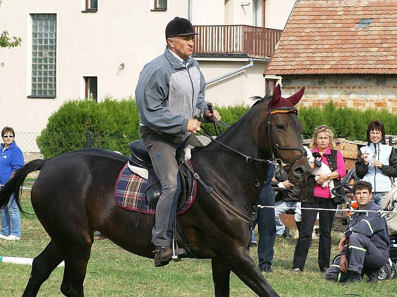 Na Školním statku ve Vestci se konal další ročník turnaje v parkurovém skákání Prostata Cup.